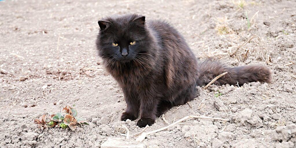 ミラドライによるワキガ治療後のしこりはどう対処すれば良い？