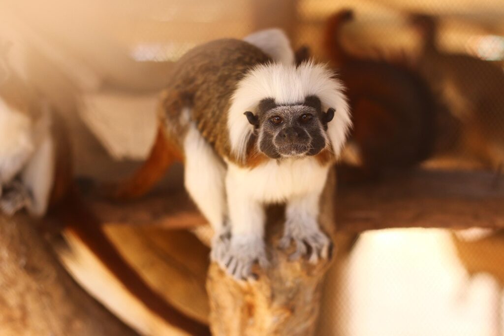 腋臭症のミラドライ施術で食生活が臭いを強める要因とは？