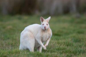 腋臭症のミラドライは家族に同じ悩みがある場合、遺伝の考え方はどうなる？
