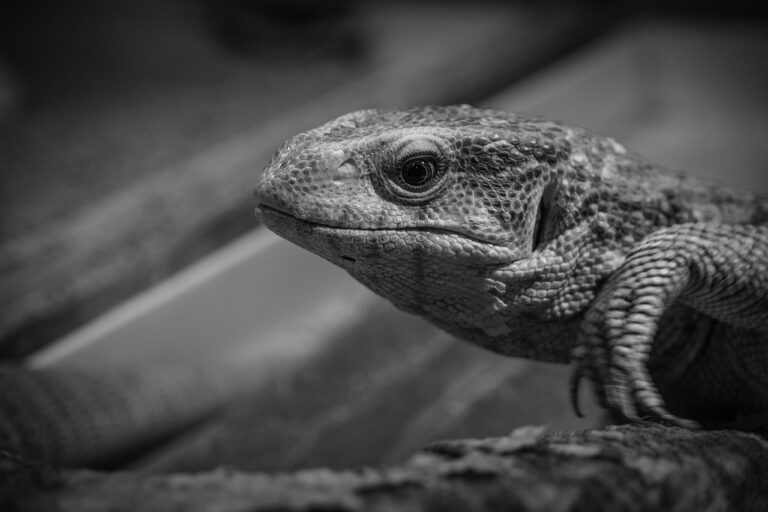 腋臭症のミラドライ、カップルで受ける時の注意点は？